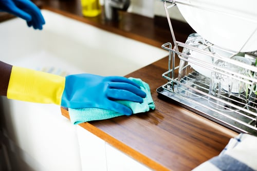 House Cleaning / Limpieza de Casas